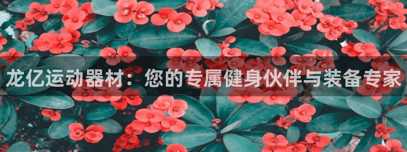凯捷体育招商电话地址：龙亿运动器材：您的专属健身伙伴