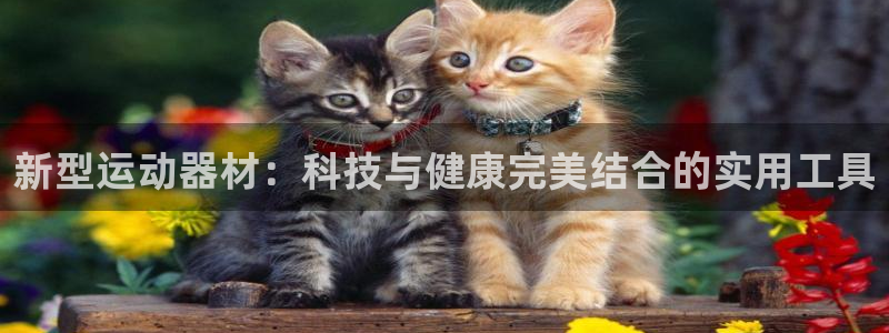 凯捷体育娱乐代理怎么样：新型运动器材：科技与健康完美结合的实
