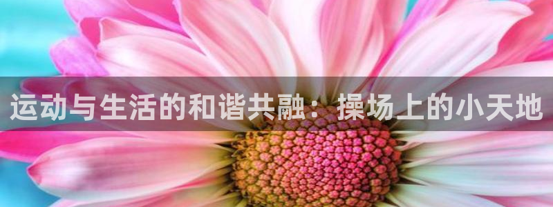 凯捷体育科技