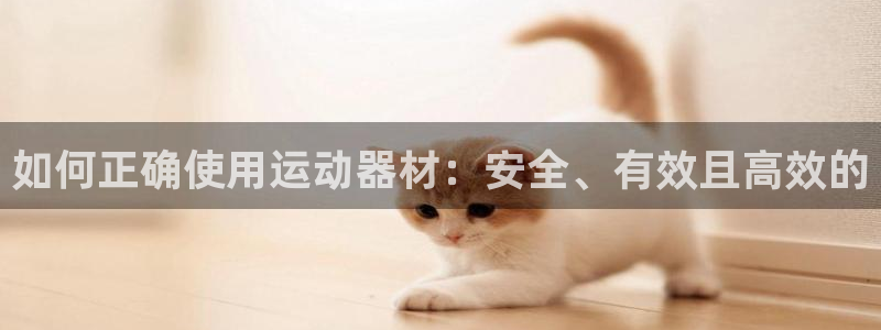 凯捷体育是干嘛的公司