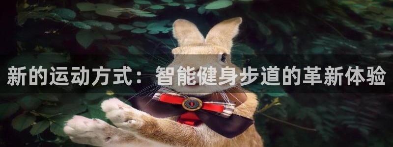 德国凯捷体育集团
