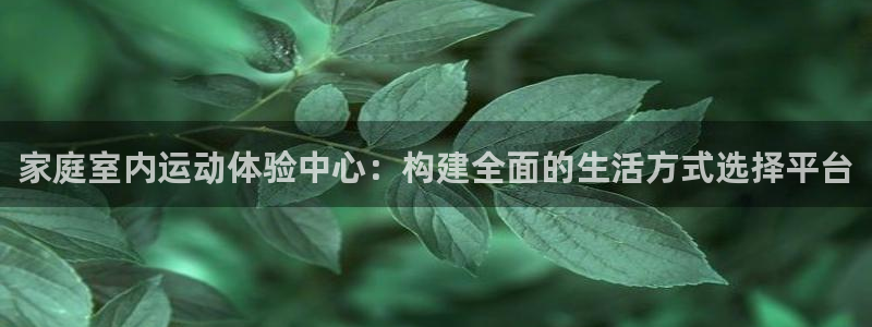 凯捷体育招商电话地址查询：家庭室内运动体验中心：构建
