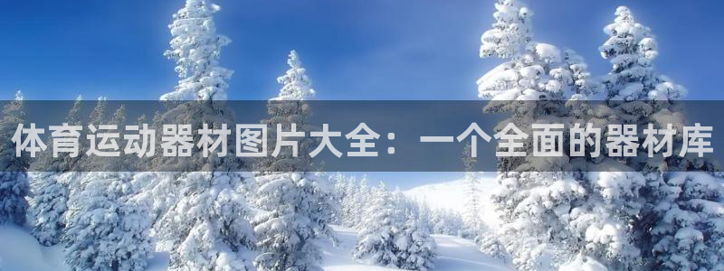 凯捷体育集团