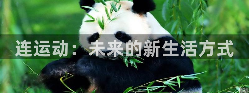 凯捷体育五金厂
