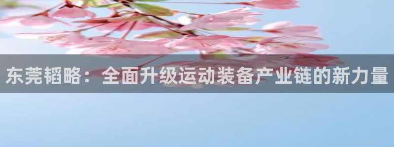 凯捷体育集团logo