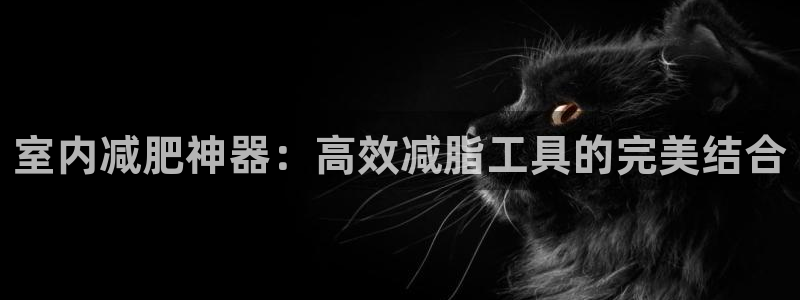 凯捷体育娱乐下载：室内减肥神器：高效减脂工具的完美结