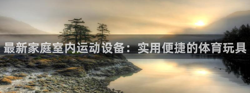 意昂集团官网：最新家庭室内运动设备：实用便捷的体育玩具