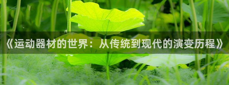 凯捷体育平台注册要钱吗是真的吗：《运动器材的世界：从传统到现