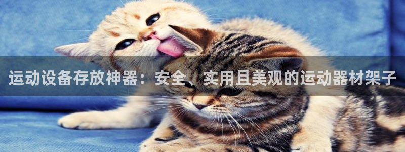 凯捷体育集团官网网址：运动设备存放神器：安全、实用且美观的运