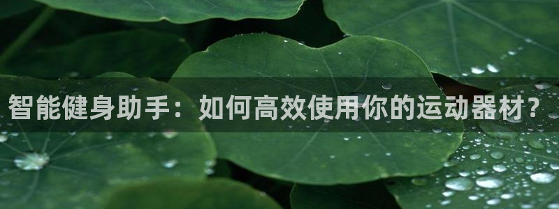 凯捷体育平台