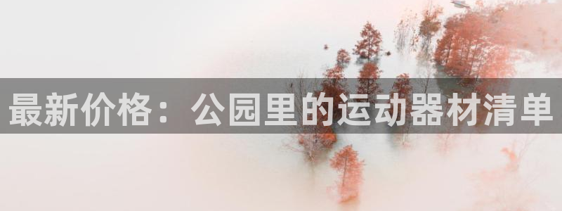 凯捷体育新能源：最新价格：公园里的运动器材清单
