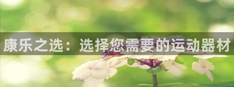 凯捷体育平台是正规平台吗：康乐之选：选择您需要的运动