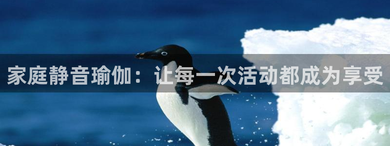 凯捷体育新能源：家庭静音瑜伽：让每一次活动都成为享受