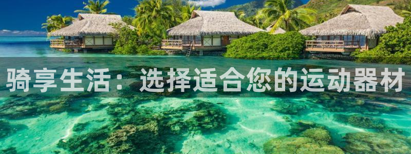 凯捷体育新能源：骑享生活：选择适合您的运动器材
