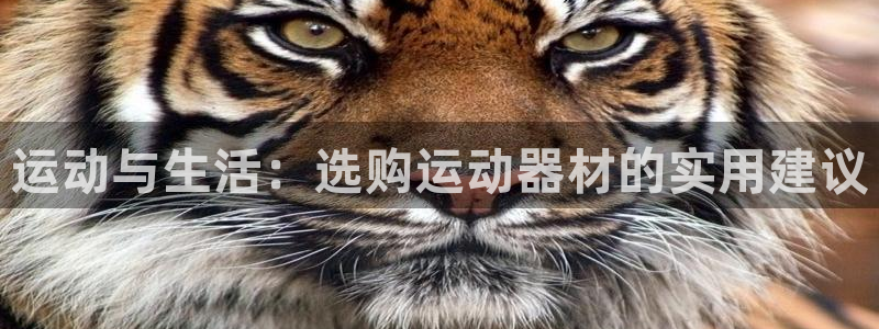 凯捷体育娱乐网站：运动与生活：选购运动器材的实用建议