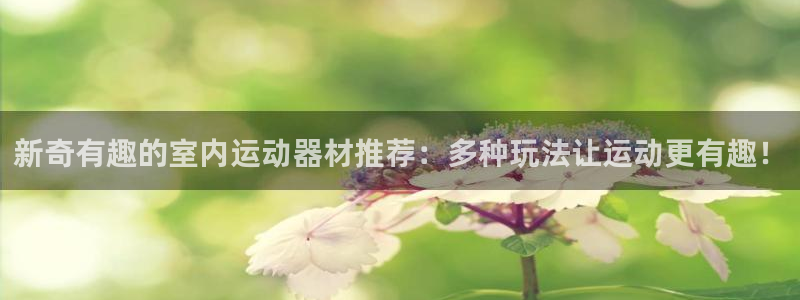 凯捷体育娱乐40996：新奇有趣的室内运动器材推荐：