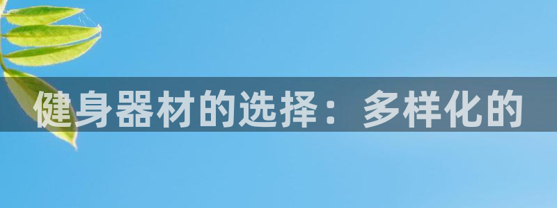 凯捷体育集团简介：健身器材的选择：多样化的
