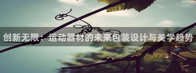 凯捷体育五金厂：创新无限：运动器材的未来包装设计与美