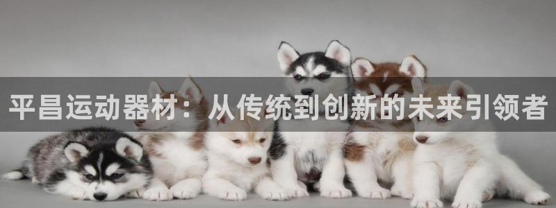 凯捷体育代理：平昌运动器材：从传统到创新的未来引领者