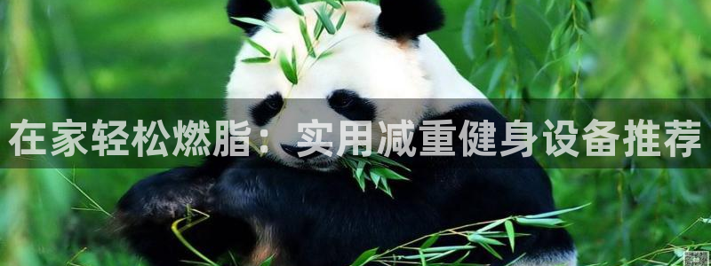 凯捷体育神州：在家轻松燃脂：实用减重健身设备推荐