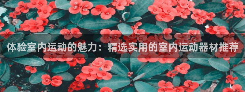 德国凯捷体育集团：体验室内运动的魅力：精选实用的室内