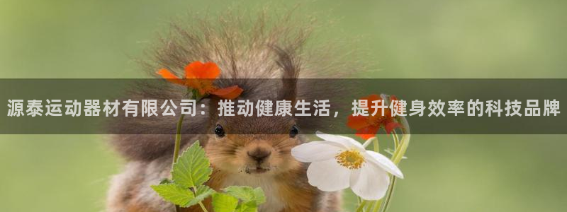 凯捷体育娱乐下载：源泰运动器材有限公司：推动健康生活