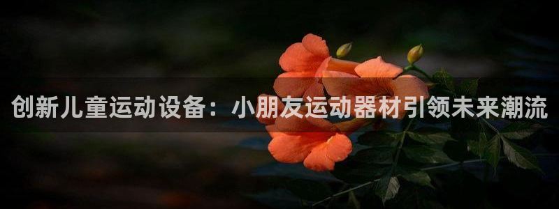 凯捷体育招商电话地址查询：创新儿童运动设备：小朋友运
