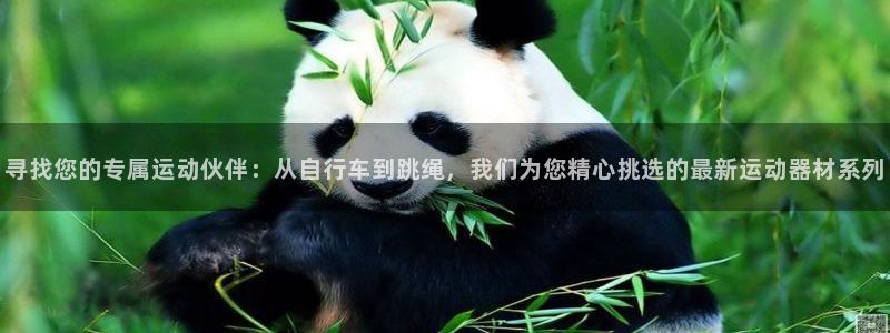 海南凯捷体育：寻找您的专属运动伙伴：从自行车到跳绳，