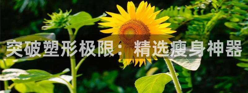 凯捷体育招商电话地址：突破塑形极限：精选瘦身神器