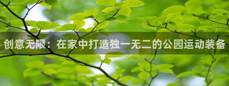 凯捷体育开户：创意无限：在家中打造独一无二的公园运动