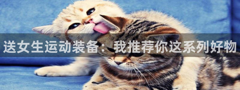 凯捷体育集团官网首页网址：送女生运动装备：我推荐你这系列好物