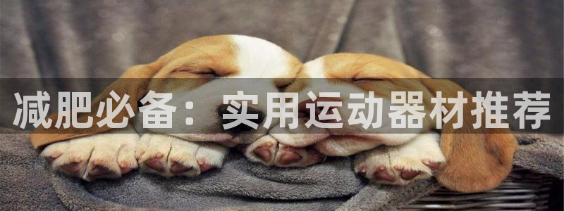凯捷体育招商电话地址：减肥必备：实用运动器材推荐