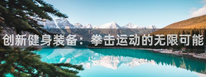 凯捷体育招商电话号码查询：创新健身装备：拳击运动的无