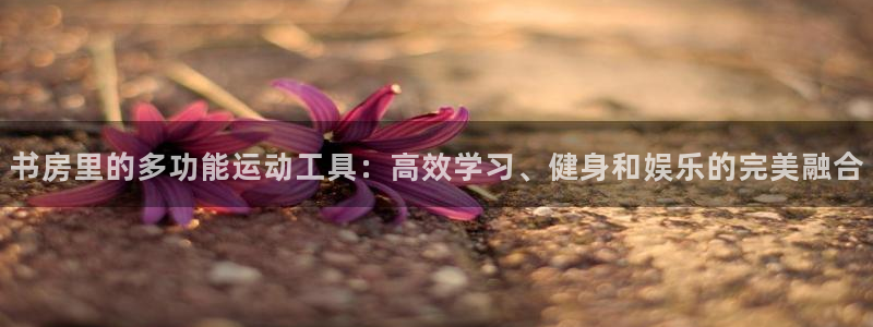 凯捷体育招商电话号码是多少：书房里的多功能运动工具：