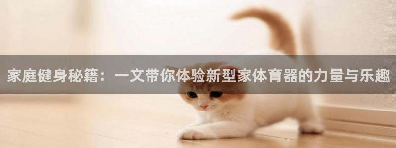 凯捷体育开户：家庭健身秘籍：一文带你体验新型家体育器