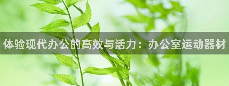 凯捷体育娱乐40996：体验现代办公的高效与活力：办