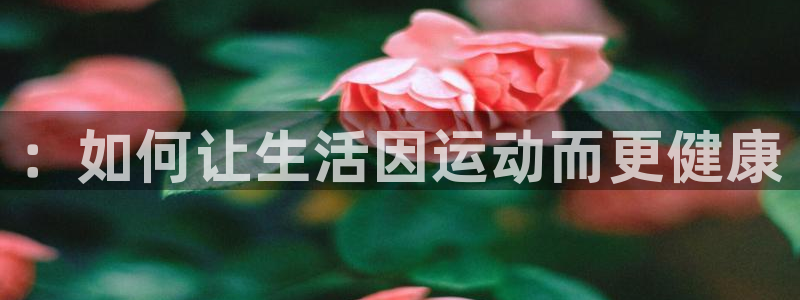 凯捷体育集团E.ON：：如何让生活因运动而更健康