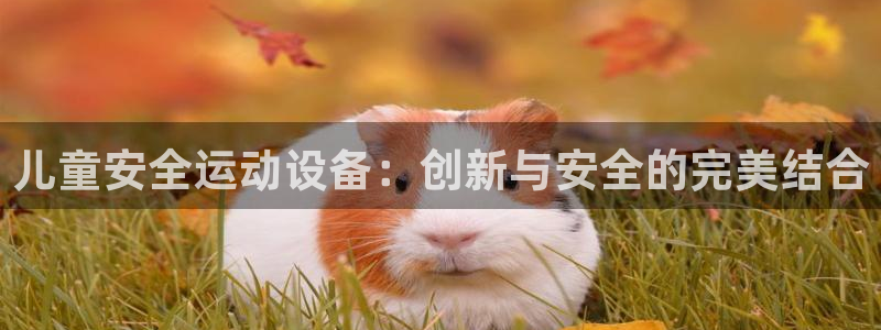 凯捷体育集团简介：儿童安全运动设备：创新与安全的完美
