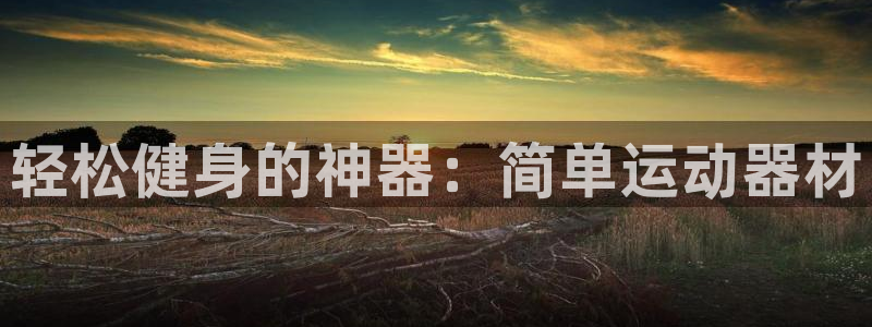 凯捷体育平台是正规平台吗：轻松健身的神器：简单运动器
