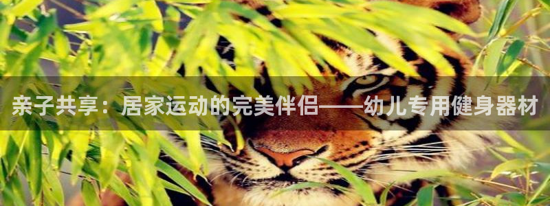 海南凯捷体育发展怎么样：亲子共享：居家运动的完美伴侣