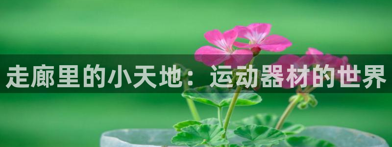 凯捷体育招商：走廊里的小天地：运动器材的世界