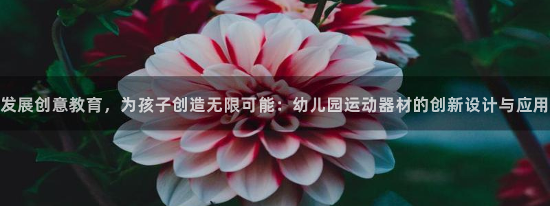 凯捷体育平台是正规平台吗：发展创意教育，为孩子创造无限可能：