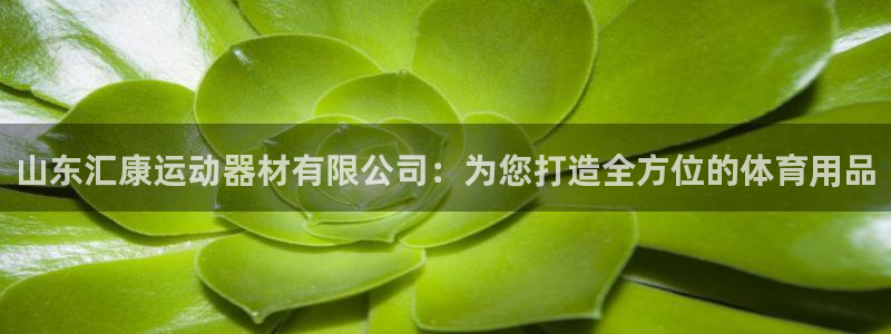 凯捷体育娱乐是那个系列的台子：山东汇康运动器材有限公