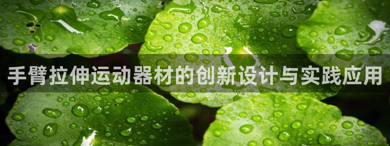 德国凯捷体育集团：手臂拉伸运动器材的创新设计与实践应