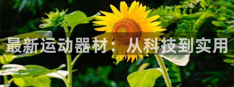 凯捷体育平台注册：最新运动器材：从科技到实用