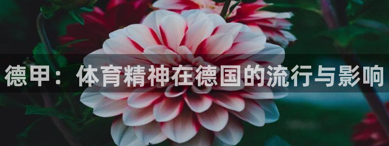 凯捷体育：德甲：体育精神在德国的流行与影响