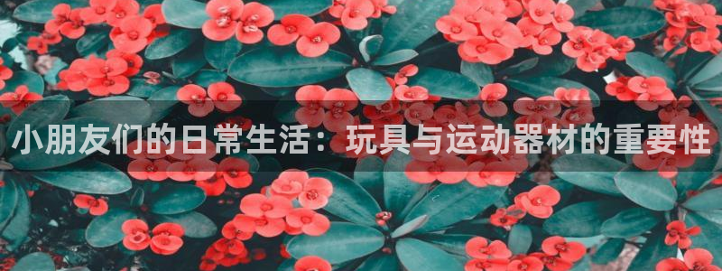 凯捷体育招商电话地址查询：小朋友们的日常生活：玩具与运动器材