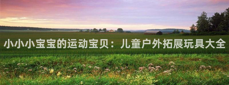 凯捷体育集团官网网址：小小小宝宝的运动宝贝：儿童户外拓展玩具