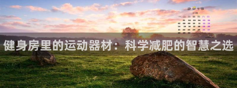 凯捷体育集团官网网址：健身房里的运动器材：科学减肥的智慧之选