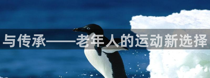 德国凯捷体育集团：与传承——老年人的运动新选择